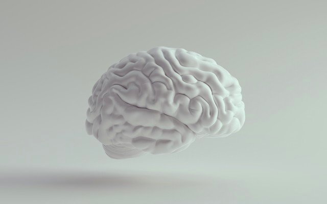 Argenica Therapeutics secures experienced professional to lead clinical development of stroke drug