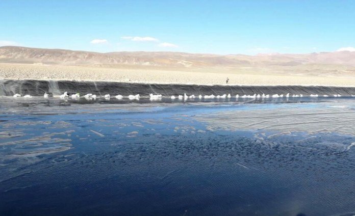 Argosy begins pumping lithium brines at its JV project in Argentina