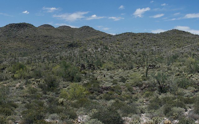 Assays confirm high-grade copper at New World Resources’ Antler project