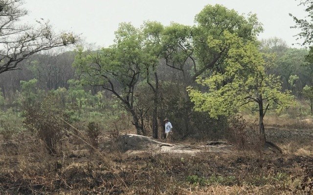 Assays confirm ‘significant’ lithium at Kitotolo for Force Commodities