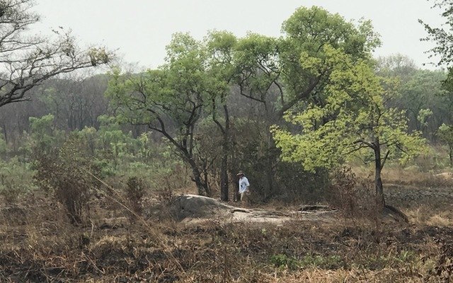 Assays confirm ‘significant’ lithium at Kitotolo for Force Commodities