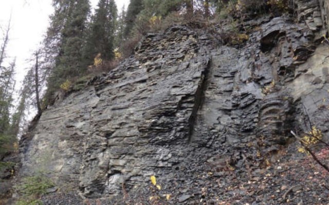 Atrum Coal buoyed on Elan South coking coal testing