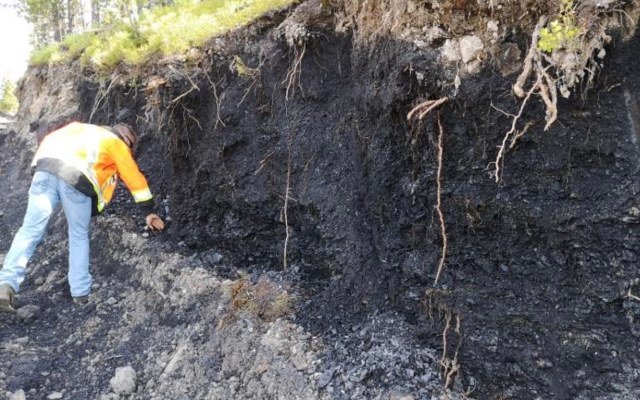 Atrum Coal reveals ‘outstanding’ results from drilling at Elan South