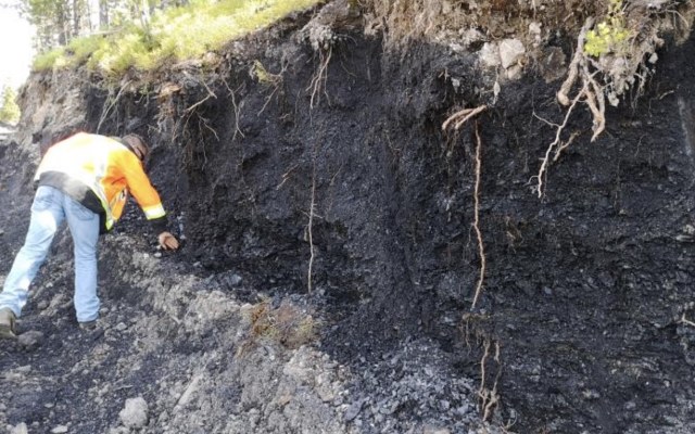 Atrum Coal reveals ‘outstanding’ results from drilling at Elan South