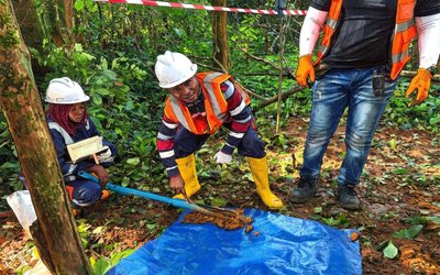 AuKing Mining Adds to Malawi Portfolio with Green Exploration Acquisition from Tusker Minerals