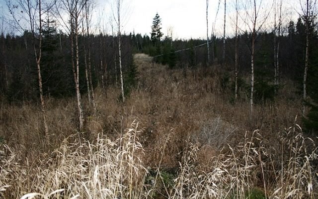 Aura Energy flags a 13.1 billion pound inferred vanadium resource