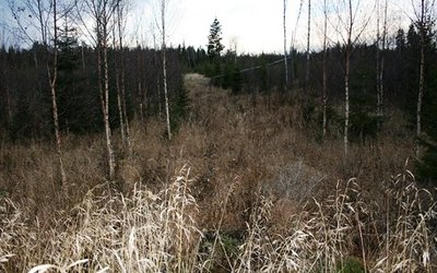 Aura Energy flags a 13.1 billion pound inferred vanadium resource