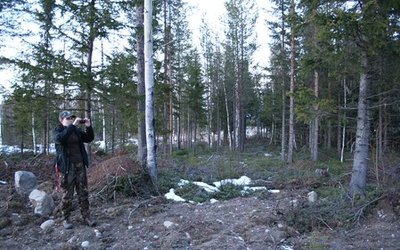 Aura Energy identifies ‘significant’ high-grade vanadium zone at Häggån