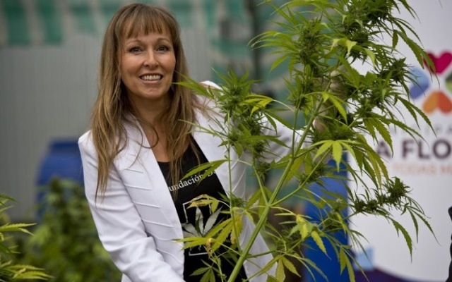 AusCann’s Chilean JV fires up for another year of cannabis cultivation