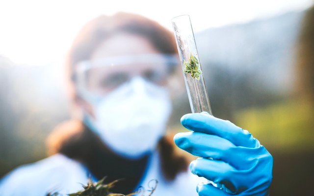 AusCann Group finalises purchase of medical cannabis R&D facility in Perth