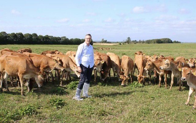 Australian Dairy Farms goes organic with acquisition of infant formula company