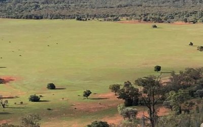 Australian Gold and Copper’s maiden drill program intersects target in six holes