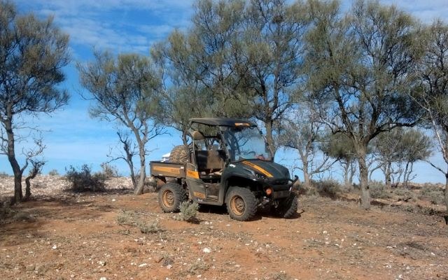 Australian Mines shores up cobalt prospectivity at Thackaringa