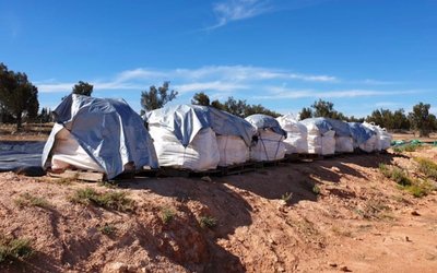 Australian Potash closes in on sulphate of potash production from Lake Wells
