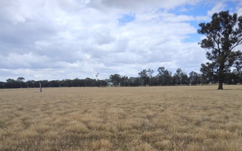 Australian Rare Earths sees major growth potential at Koppamurra with 27% MRE boost