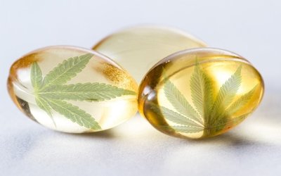 Avecho Biotechnology begins manufacturing CBD capsules for pivotal Phase III insomnia trial