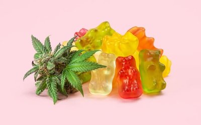 Avecho Biotechnology develops first generation TPM edible cannabinoid gummies