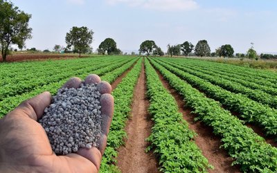 Avenira secures $7.56m investment from majority shareholder Hebang to advance Wonarah phosphate project