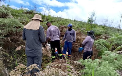 Axel REE confirms high-grade rare earths and gallium at Caladão with latest assays