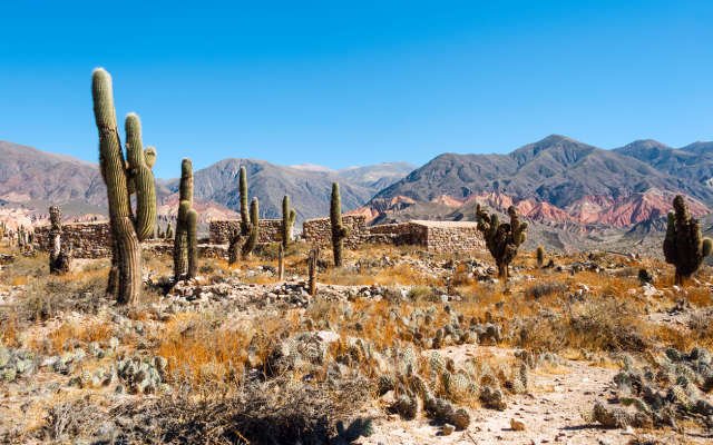 Azure Minerals confirms near-surface gold, cobalt prospectivity at Sara Alicia