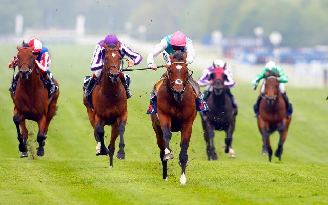 BetMakers secures 10-year deal to manage fixed odds horse racing in New Jersey