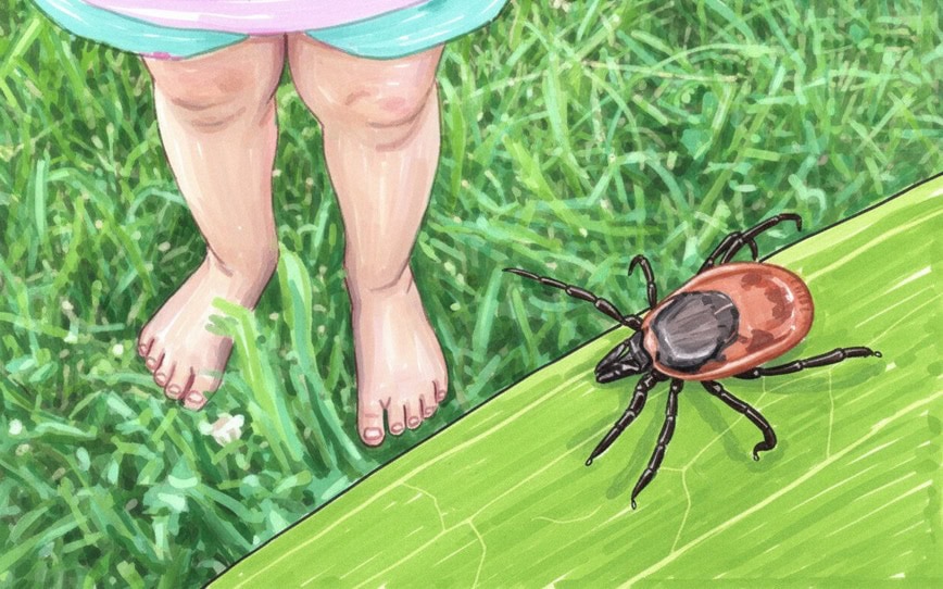 Bio-Gene Reports Strong Flavocide Results Against Ticks to Leading US Lyme Disease Conference