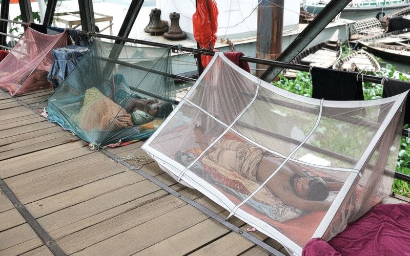 Bio-Gene Secures OMRI Approval for Qcide Organic Listing under USDA National Organic Program