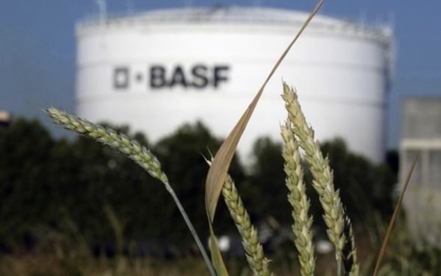 Bio-Gene Technology and BASF team-up to advance Flavocide pest control technology