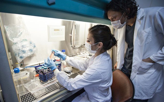 Biotron rides wave of Phase 2 clinical trial success for HIV drug