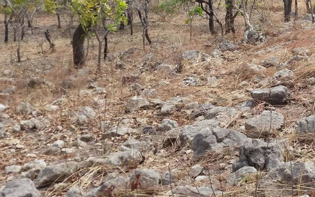 Birimian releases maiden reserve, updated PFS at high-grade Goulamina lithium project