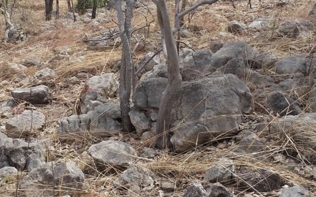 Birimian tops up cash to fund lithium project’s advancement