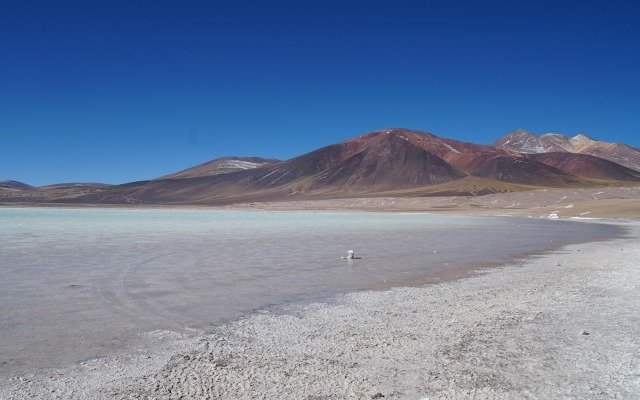 BMG Resources powers ahead with exploration after formalising lithium brine joint venture in Chile