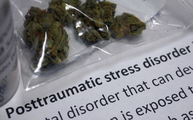 Bod Australia’s cannabis oil to be used in landmark PTSD trial