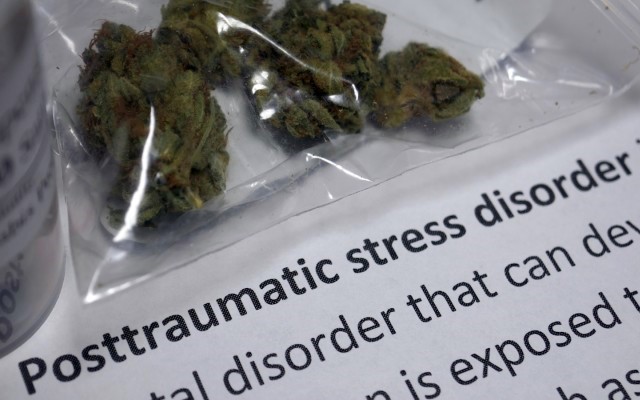 Bod Australia’s cannabis oil to be used in landmark PTSD trial