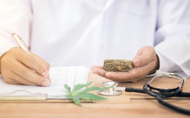 Bod Australia kicks off phase 1 clinical trial for phytocomplex cannabis extract