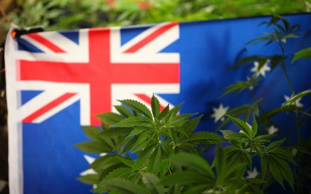 Bod Australia receives major capital boost via Health & Happiness Group’s innovation arm