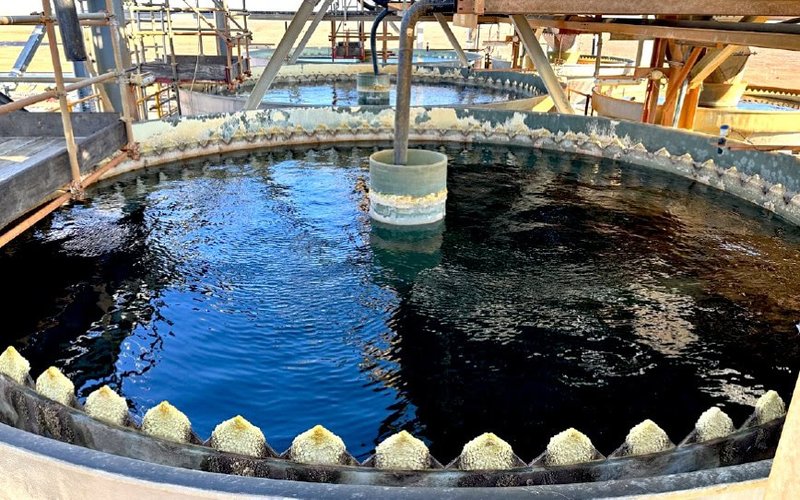 Boss Energy driving momentum at Honeymoon uranium project with technical upgrades