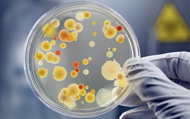 Botanix’s CBD-based product destroys superbug skin infections in another ‘world first’