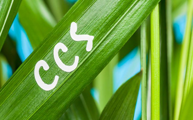 BPH Energy announces carbon capture expert appointment to Sydney Basin gas project