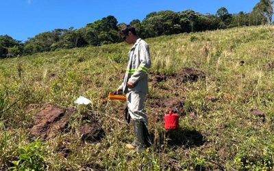 Brazilian Rare Earths confirms district-scale discovery at Pelé