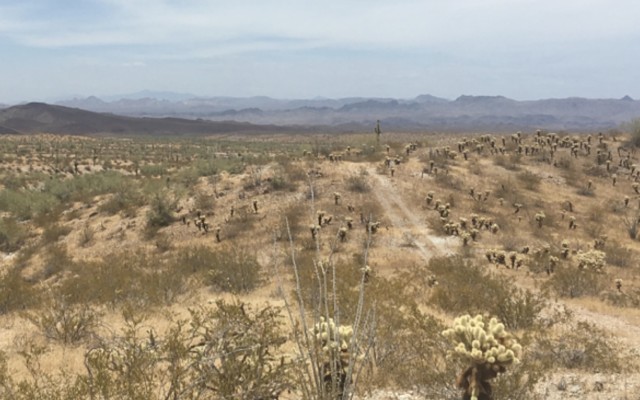 Broken Hill Prospecting acquires large historic rare earth project in Arizona