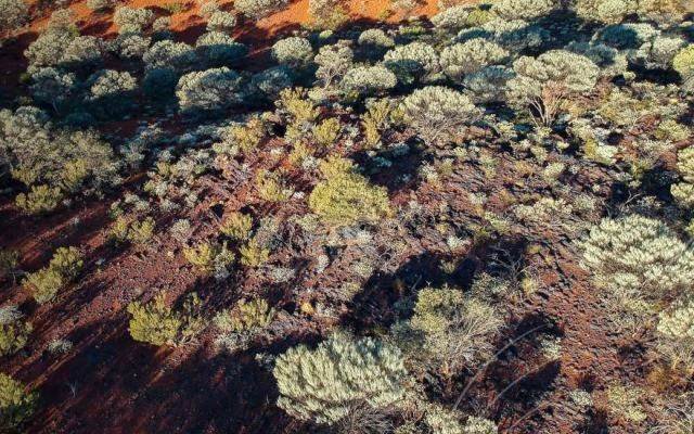 Bryah Resources unlocks manganese potential at Bryah Basin with OM Holdings joint venture