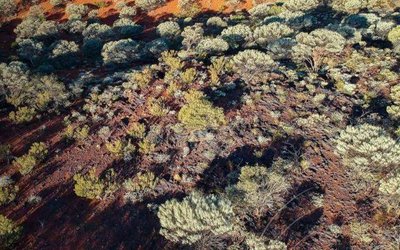 Bryah Resources unlocks manganese potential at Bryah Basin with OM Holdings joint venture