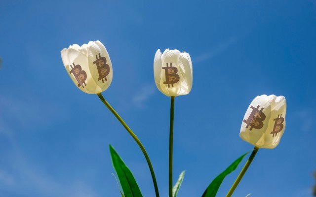 Bursting Bitcoin bubble shows the power of investment mania