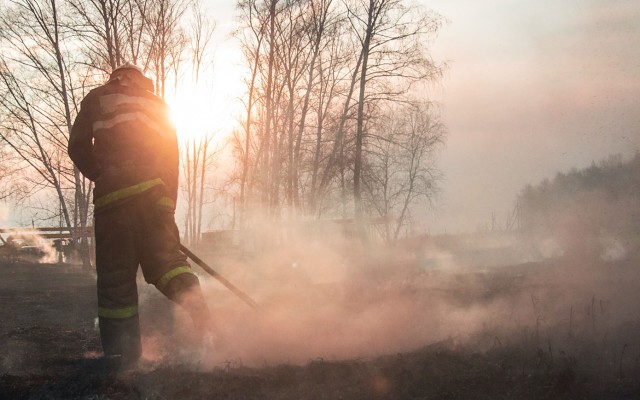 Bushfires leave a terrible cost – but how big will it be?