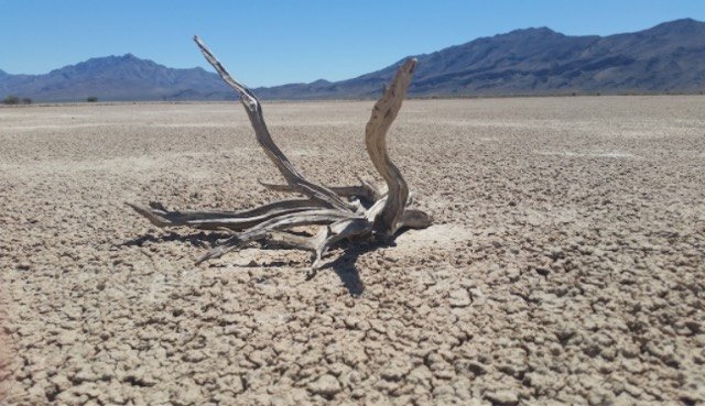 Caeneus Minerals discovers major lithium find in Nevada