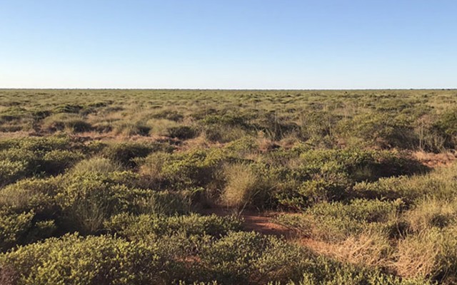 Caeneus Minerals survey at Yule River identifies prospective targets for follow-up