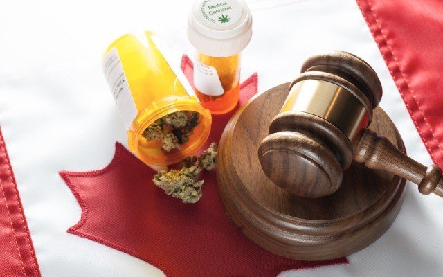 Canada spearheads move into legalising cannabis