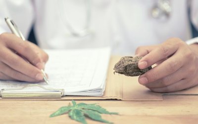 Cann Group nets government tender to supply cannabis resin for children with epilepsy