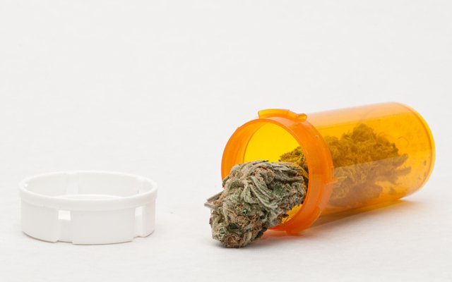 Cann Group and IDT Australia prepare for commercial launch of medicinal cannabis product